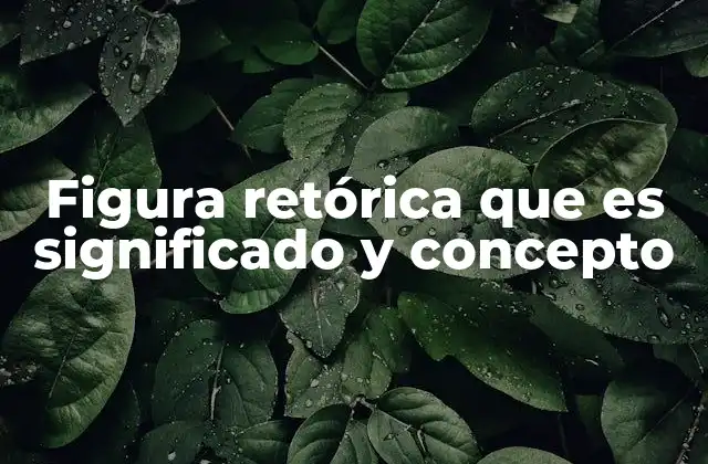 Figura Retórica que es Significado y Concepto
