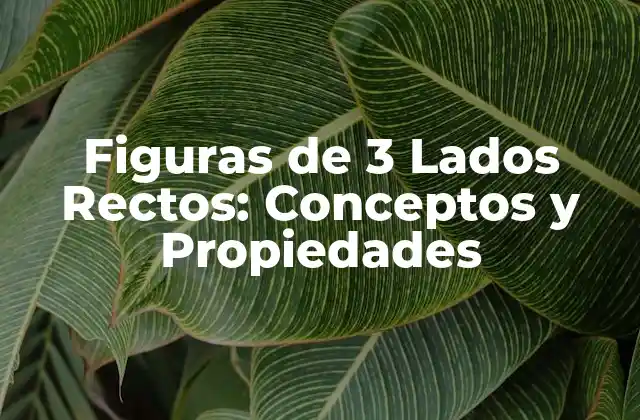 Figuras de 3 Lados Rectos: Conceptos y Propiedades