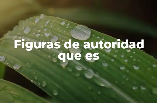 Figuras de Autoridad que es
