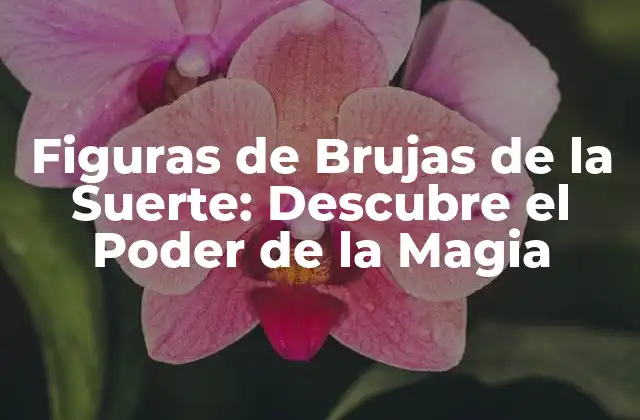 Figuras de Brujas de la Suerte: Descubre el Poder de la Magia