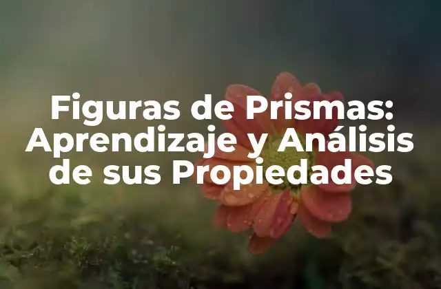 Figuras de Prismas: Aprendizaje y Análisis de Sus Propiedades