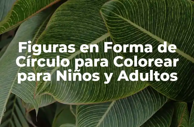 Figuras en Forma de Círculo para Colorear para Niños y Adultos 2 ¿Qué son las Figuras en Forma de Círculo para Colorear?