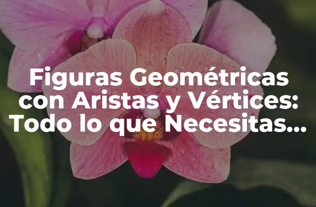 Figuras Geométricas con Aristas y Vértices: Todo Lo que Necesitas Saber