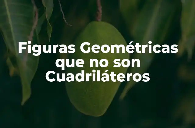 Figuras Geométricas que No Son Cuadriláteros