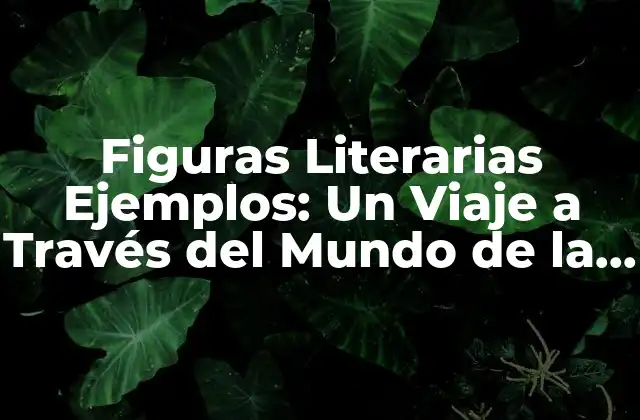 Figuras Literarias Ejemplos: un Viaje a Través Del Mundo de la Literatura