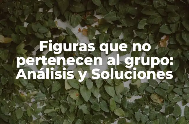 Figuras que No Pertenecen Al Grupo: Análisis y Soluciones