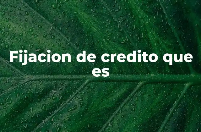 Fijacion de Credito que es