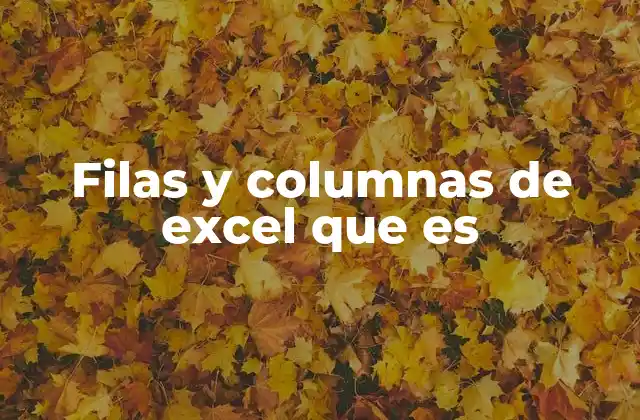 Filas y Columnas de Excel que es 2 La importancia de la estructura en una hoja de cálculo