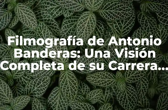 Filmografía de Antonio Banderas: una Visión Completa de Su Carrera Cinematográfica