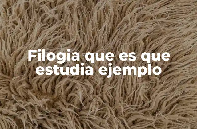 Filogia que es que Estudia Ejemplo 2 La filogia como puerta de acceso al conocimiento del lenguaje