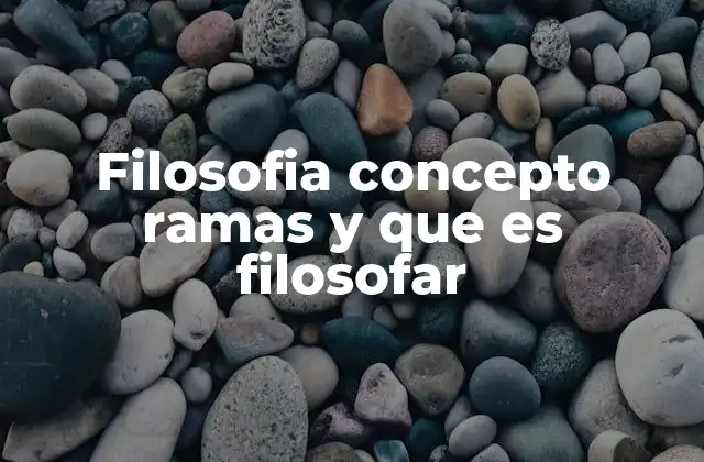 La importancia de la reflexión filosófica en la sociedad