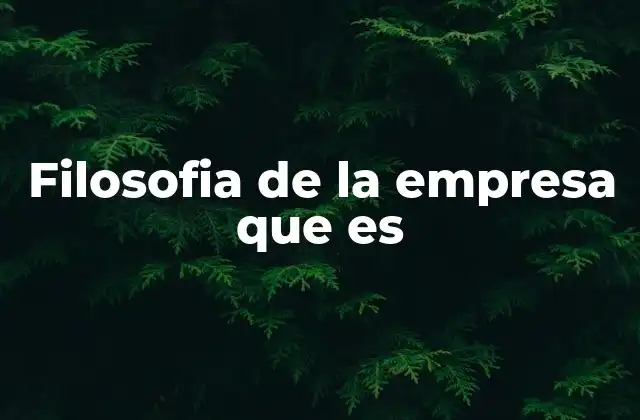 Filosofia de la Empresa que es