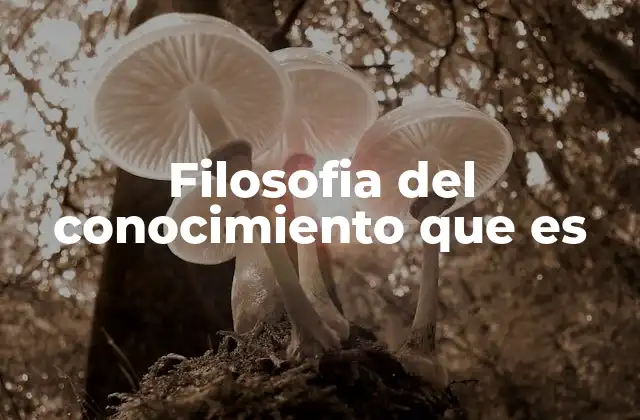 Filosofia Del Conocimiento que es