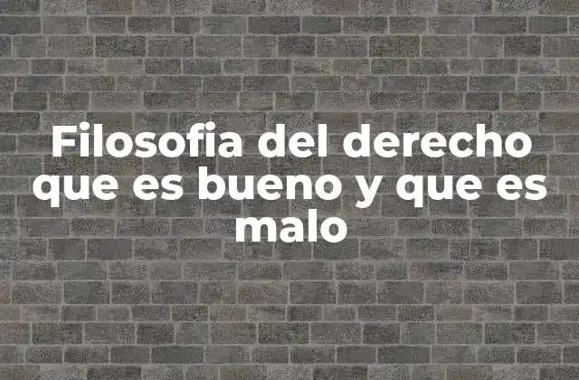 Filosofia Del Derecho que es Bueno y que es Malo