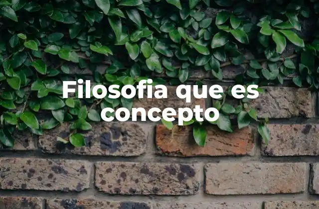 Filosofia que es Concepto
