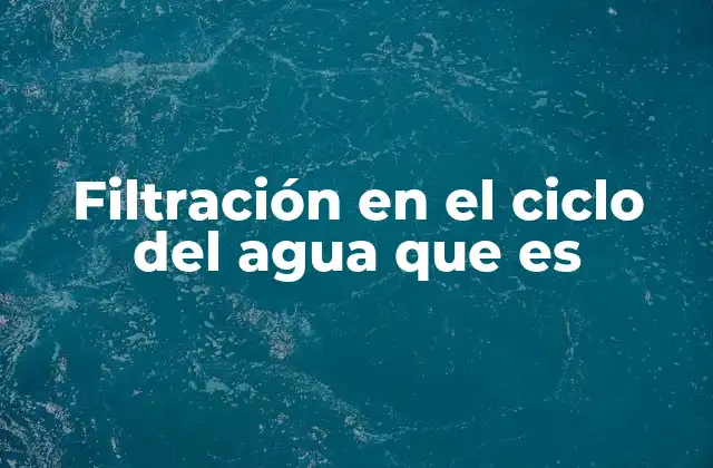El papel de los ecosistemas en la purificación del agua