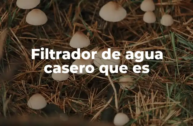 Filtrador de Agua Casero que es