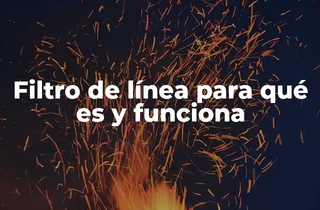 Filtro de Línea para Qué es y Funciona