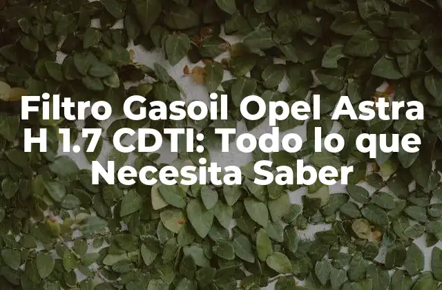 Filtro Gasoil Opel Astra H 1.7 Cdti: Todo Lo que Necesita Saber