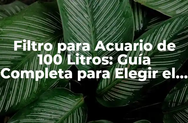 Filtro para Acuario de 100 Litros: Guía Completa para Elegir el Mejor