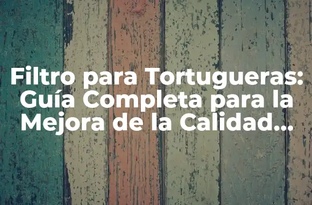 Filtro para Tortugueras: Guía Completa para la Mejora de la Calidad Del Agua