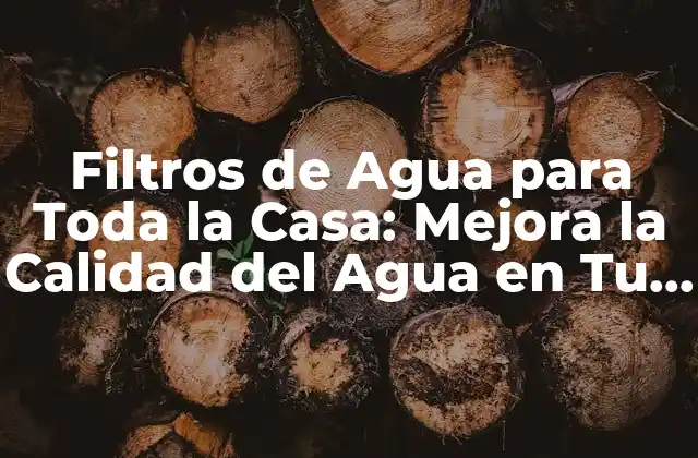 Filtros de Agua para Toda la Casa: Mejora la Calidad Del Agua en Tu Hogar