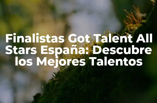 Finalistas Got Talent All Stars España: Descubre los Mejores Talentos