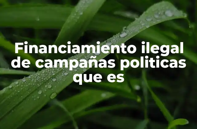 Financiamiento Ilegal de Campañas Politicas que es