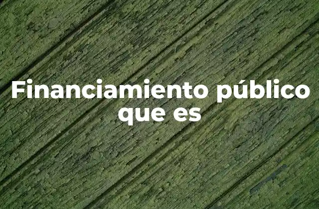 El rol del Estado en la asignación de recursos