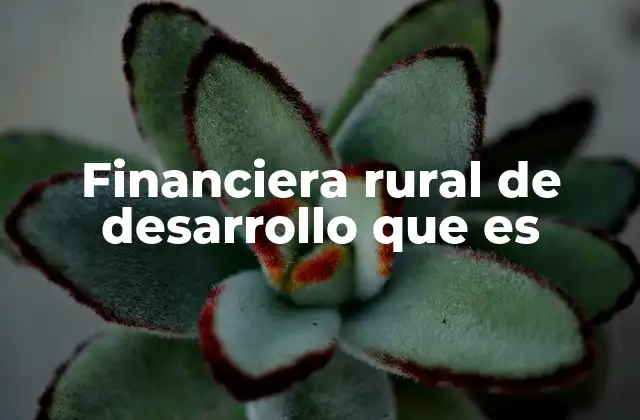 Financiera Rural de Desarrollo que es