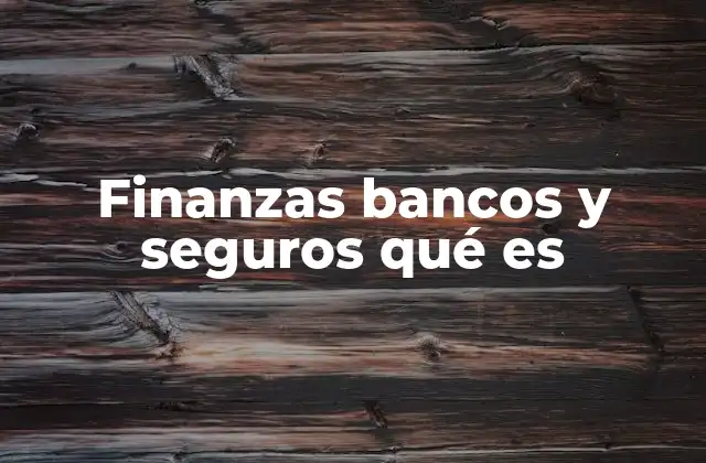 Finanzas Bancos y Seguros Qué es