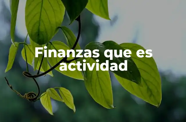 Finanzas que es Actividad