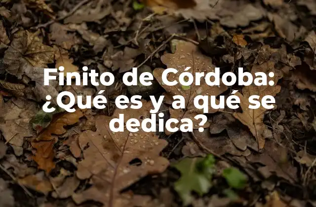 Finito de Córdoba: ¿qué es y a Qué Se Dedica?