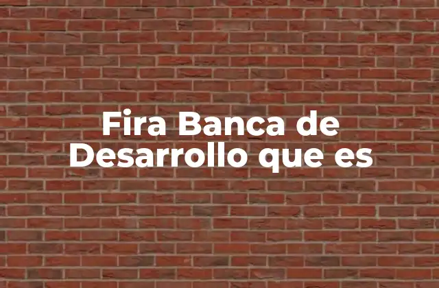 Fira Banca de Desarrollo que es