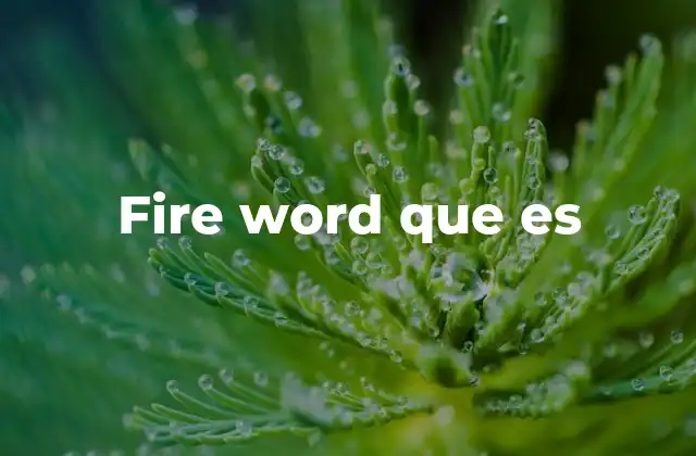 Fire Word que es