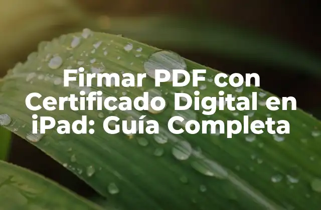 Firmar Pdf con Certificado Digital en Ipad: Guía Completa