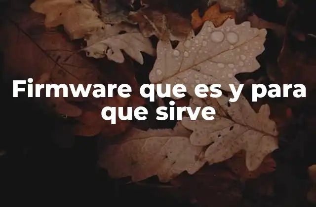 Firmware que es y para que Sirve