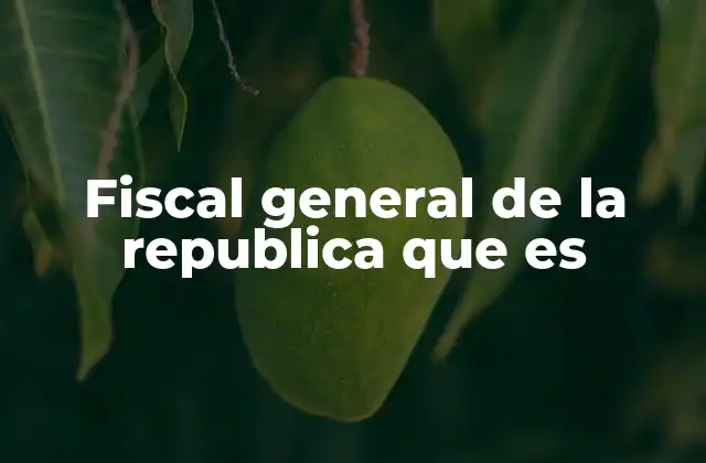 Fiscal General de la Republica que es