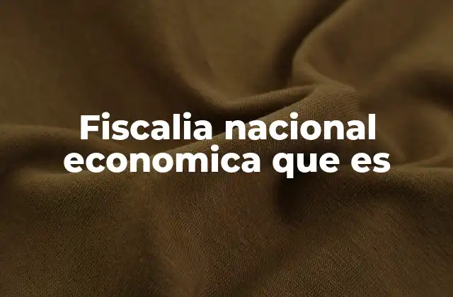 Fiscalia Nacional Economica que es