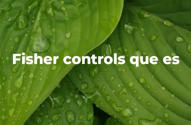 Fisher Controls que es
