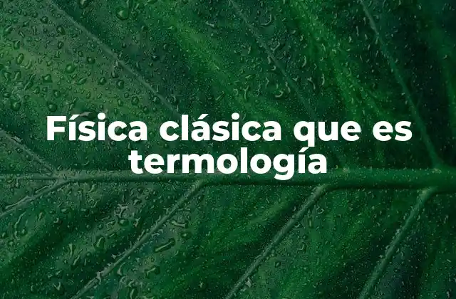 Física Clásica que es Termología