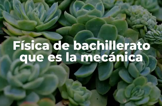 Física de Bachillerato que es la Mecánica