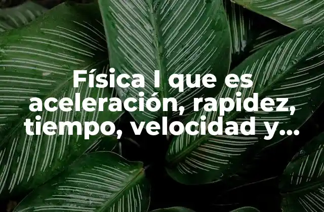 Física I que es Aceleración, Rapidez, Tiempo, Velocidad y Movimiento