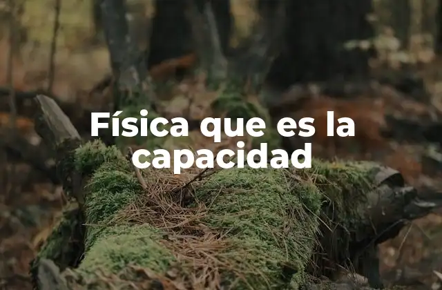Física que es la Capacidad
