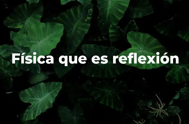 Física que es Reflexión 2 La interacción entre la luz y las superficies