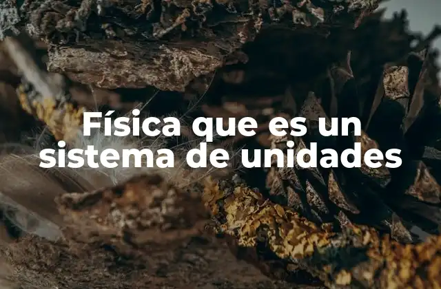 Física que es un Sistema de Unidades