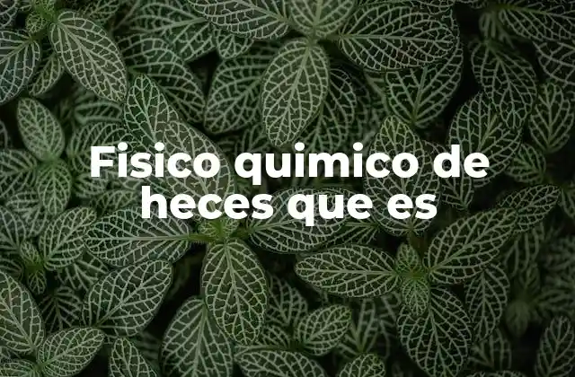 Fisico Quimico de Heces que es