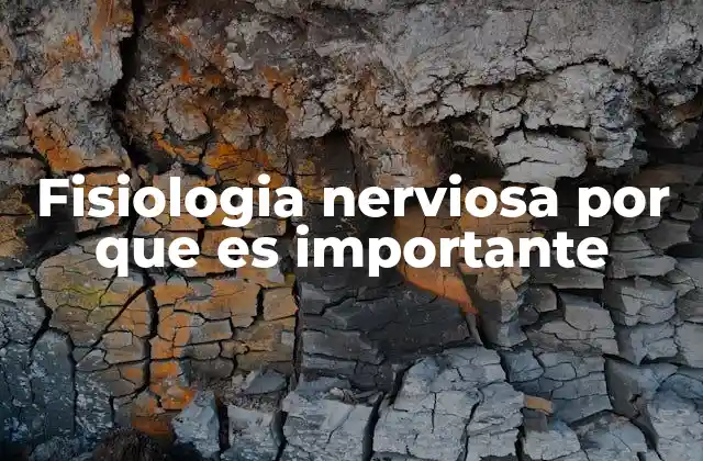 Fisiologia Nerviosa por que es Importante