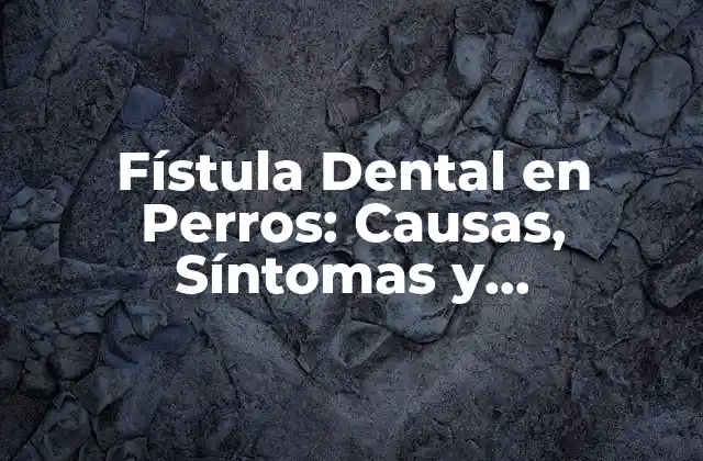 Fístula Dental en Perros: Causas, Síntomas y Tratamiento