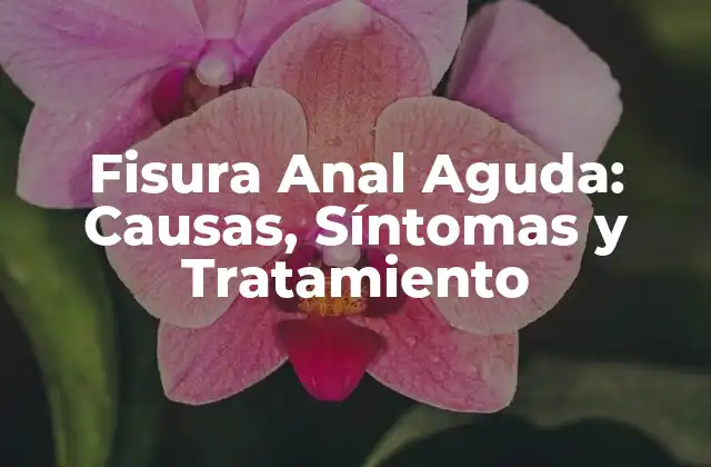 Fisura Anal Aguda: Causas, Síntomas y Tratamiento